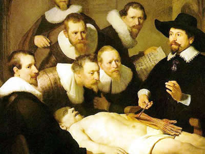 O estudo da anatomia humana foi um dos grandes avanços da ciência renascentista